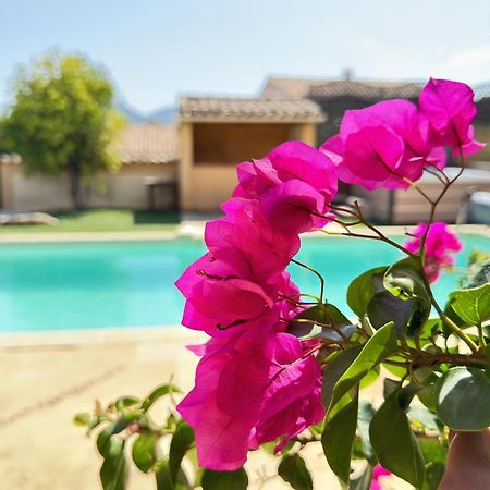 2 Hebergements - 10 Couchages - Parking, Piscine, Jacuzzi - Convivialite Roquebrune-sur Argens Bagian luar foto
