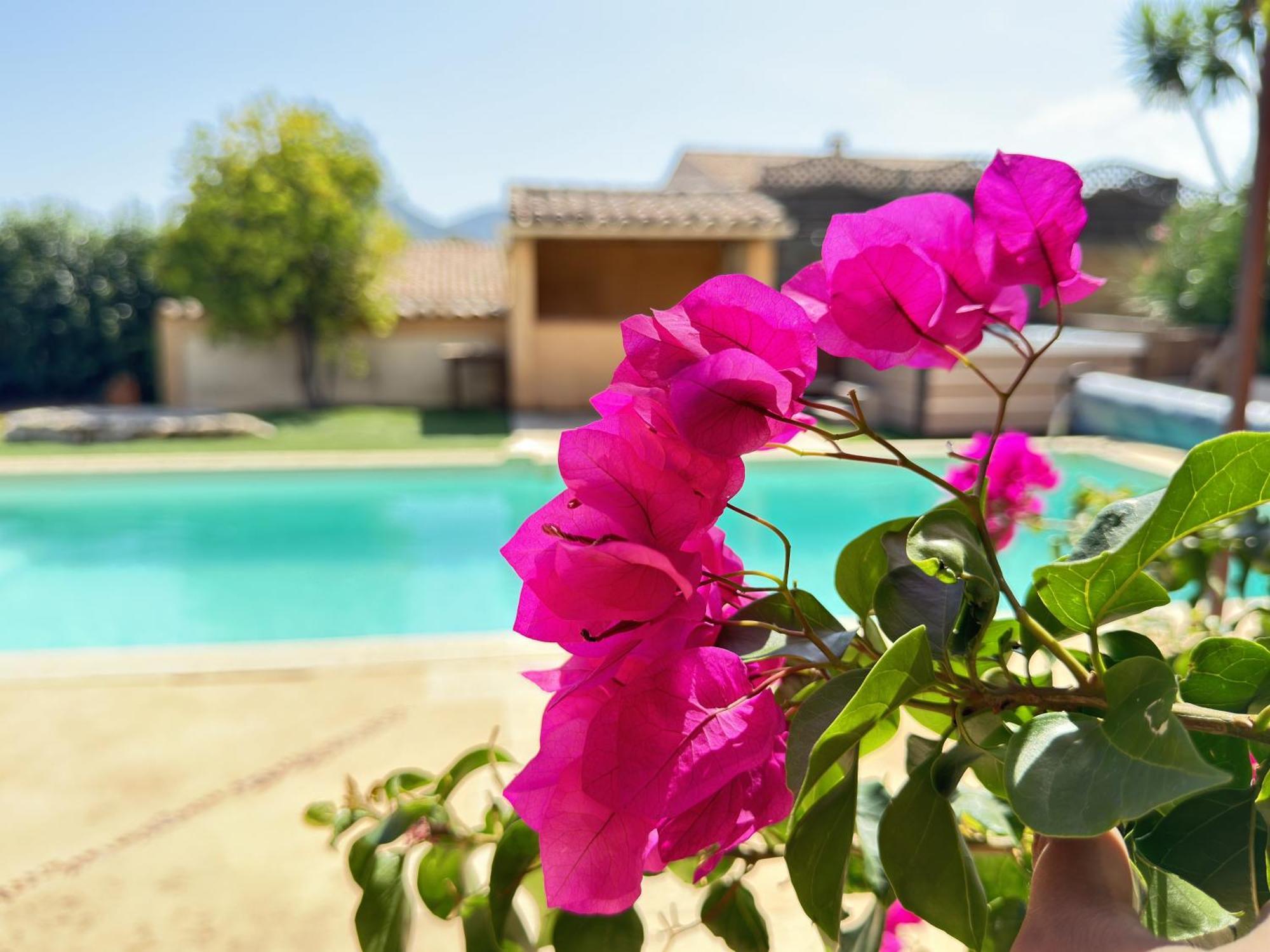 2 Hebergements - 10 Couchages - Parking, Piscine, Jacuzzi - Convivialite Roquebrune-sur Argens Bagian luar foto