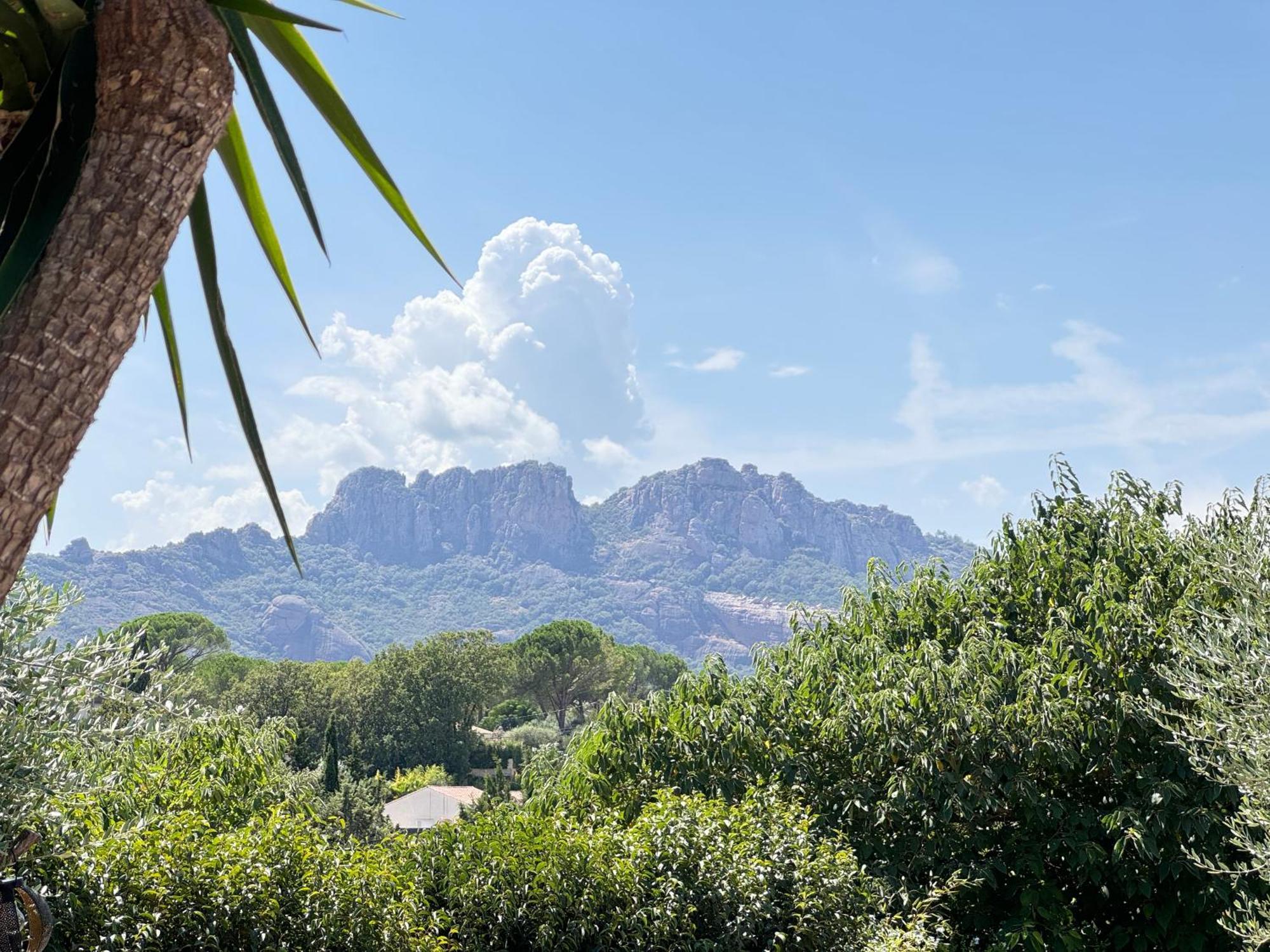 2 Hebergements - 10 Couchages - Parking, Piscine, Jacuzzi - Convivialite Roquebrune-sur Argens Bagian luar foto